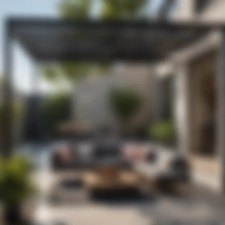 Modern Outdoor Lounge Area with Black Pergola and Canopy