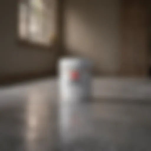 Mold Remediation with Kilz Primer