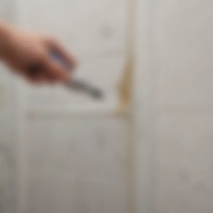 Mold-Resistant Caulk for Shower Door Tracks