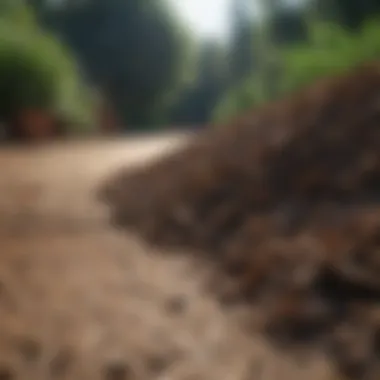 Analyzing Mulch Price Variations Mulch Price Comparison