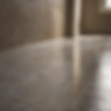 Versatile Solution for Immaculate Surfaces Multi-Surface Tile Scum Eraser