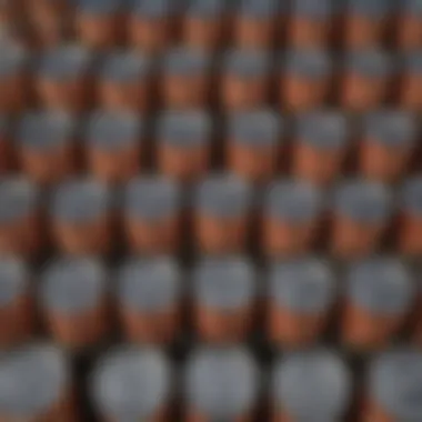 Expertly Sealed Canned Goods Ready for Storage Expertly Sealed Canned Goods Ready for Storage