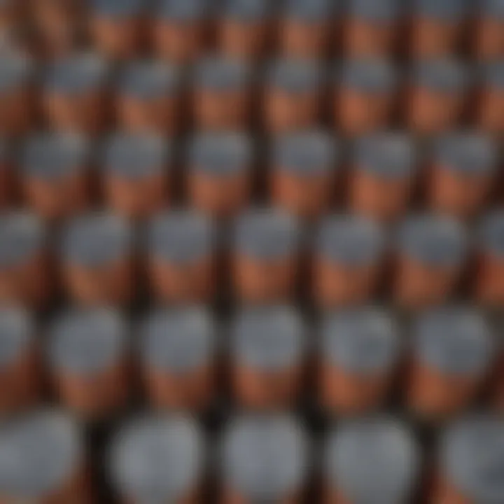 Expertly Sealed Canned Goods Ready for Storage Expertly Sealed Canned Goods Ready for Storage