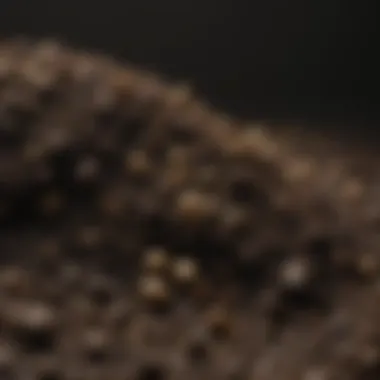 Explore Black Gold Potting Soil Options on Online Retailer Website Online Retailer Website Showing Black Gold Potting Soil Options