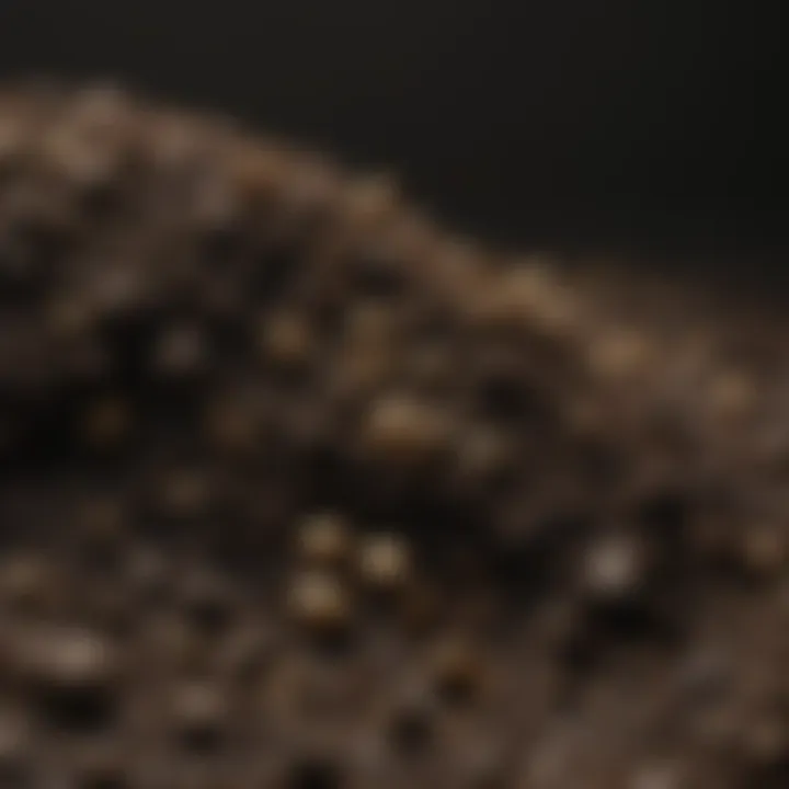 Explore Black Gold Potting Soil Options on Online Retailer Website Online Retailer Website Showing Black Gold Potting Soil Options