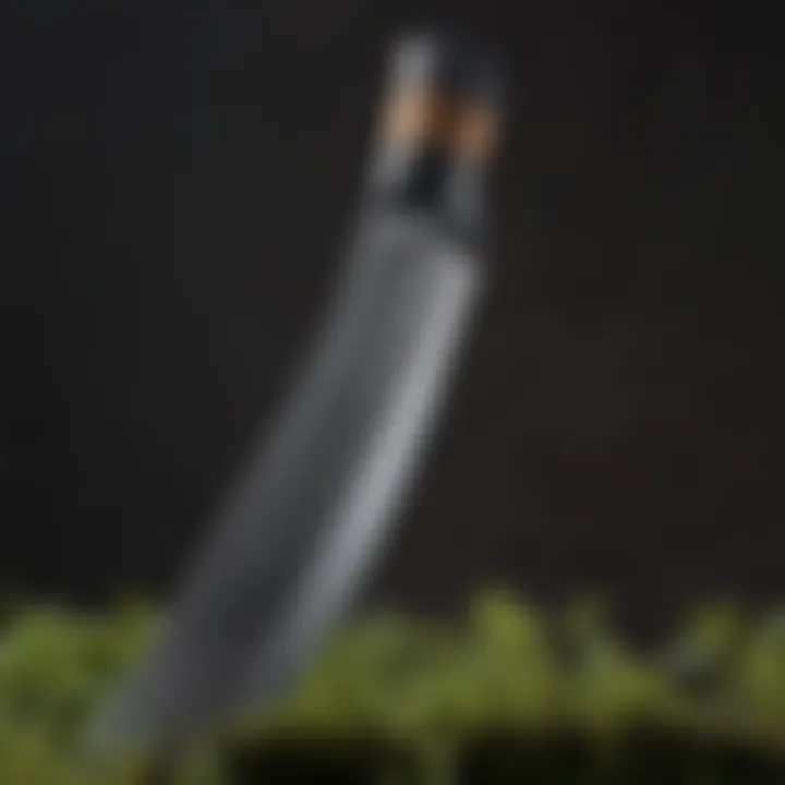 Close-up of a high-quality blade made of durable material