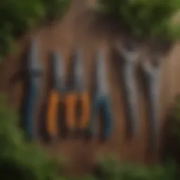 Different types of hedge shears displayed on a wooden background
