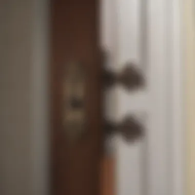 Utility of Hold Open Clips Hold Open Clip for Storm Door Closers