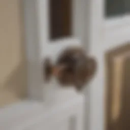 Mechanism of Storm Door Closers