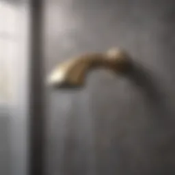 Elegant shower spout design