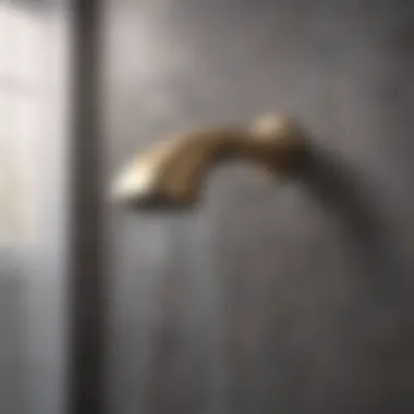 Elegant shower spout design