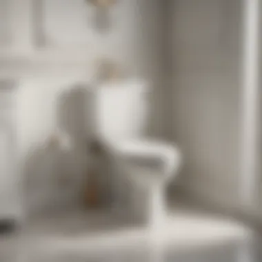 Opulent White Mayfair by Bemis Toilet Seat Luxurious Mayfair by Bemis Toilet Seat in Opulent White