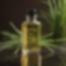 Organic Lemongrass Essential Oil Repellent