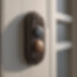 Classic outdoor doorbell button design showcasing vintage aesthetics