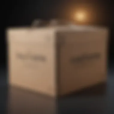 Customizable Oversized Shipping Box