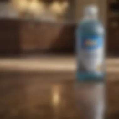 Eco-Friendly Stain Removal with Oxiclean