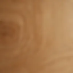 Premium Plywood Grain Texture