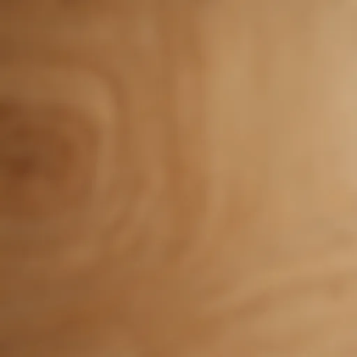 Premium Plywood Grain Texture