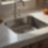 Polishing Stainless Steel Sink with Barkeepers Friend Liquid