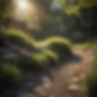 Versatility in Landscaping Poly rake in landscape design