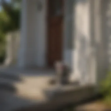 Rigorous Durability Testing of Porch Paint Porch Paint Durability Test