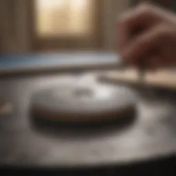 Precision at work with sanding discs