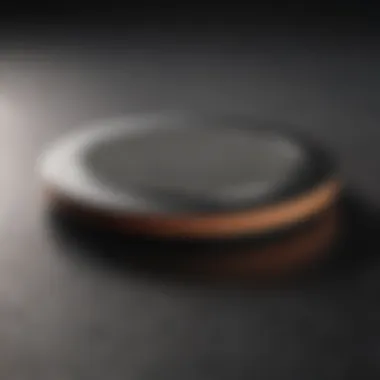 Innovative Polishing Pad with Precision Crafting Polishing Pad with Precision Design