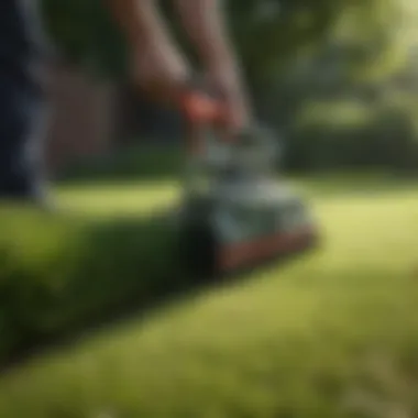 Exquisite Lawn Edging Precision Precision Lawn Edging Tool
