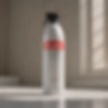 Precision and Perfection: Mastering Krylon Dover White Spray Paint
