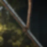 Pruning Pole with Precision
