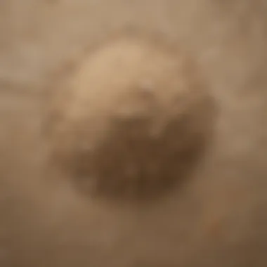 Premium Grade Pool Sand