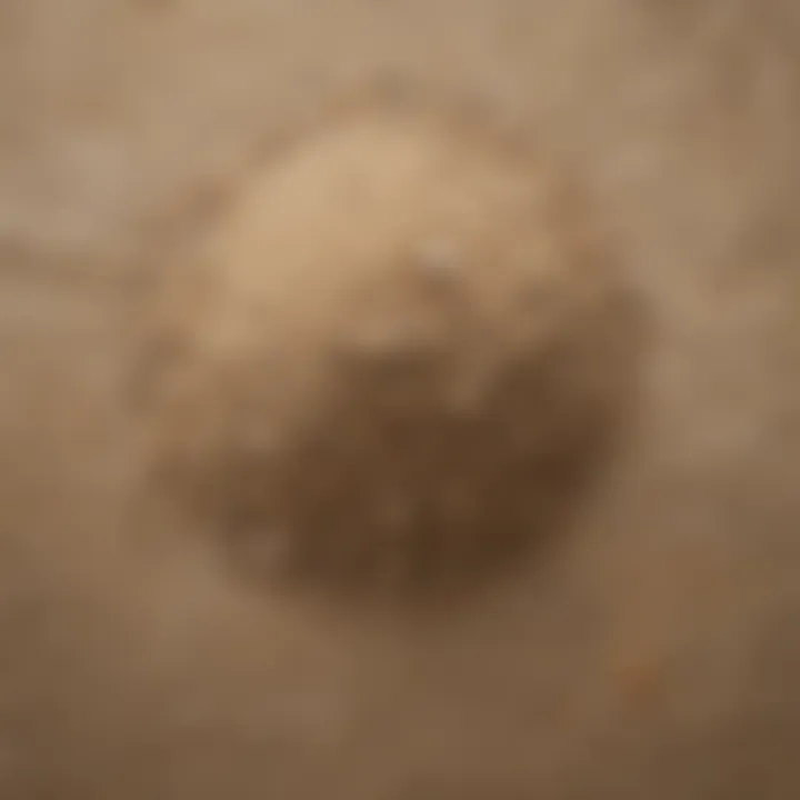 Premium Grade Pool Sand