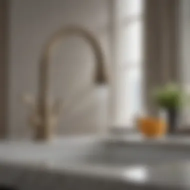 Elegant Design of Price Pfister Kitchen Faucet Handle Elegant and sleek Price Pfister kitchen faucet handle design