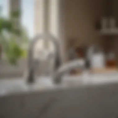 Innovative Features of Price Pfister Kitchen Faucet Handle Innovative features of Price Pfister kitchen faucet handle