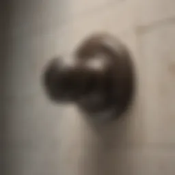 Elegant Price Pfister Shower Handle