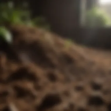 Unveiling Pro Mix Soil's Organic Ecosystem