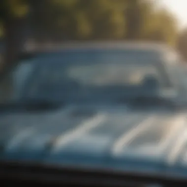 Masterful Technique for Flawless Results Professional Grade Windshield Cleaner Application