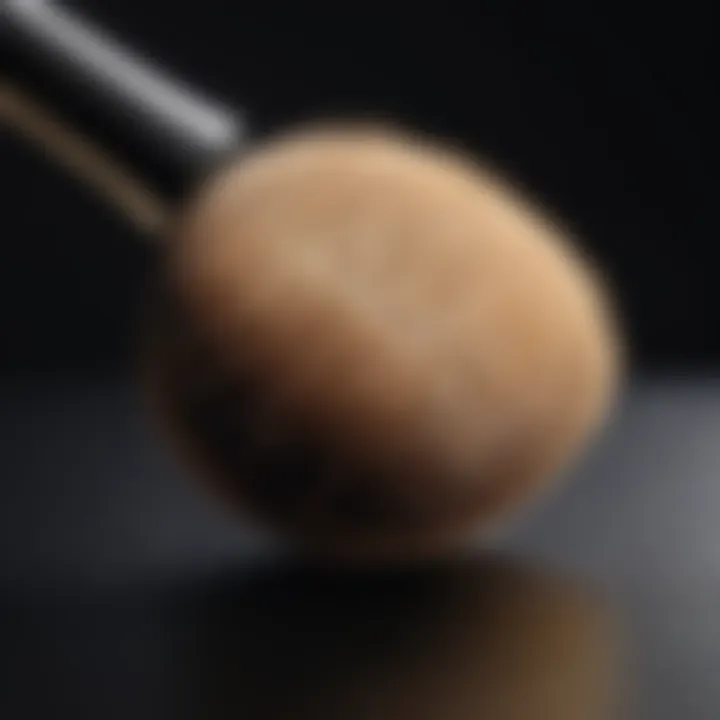 Professional Purdy Brush Demonstrating Superior Performance