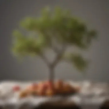 Fruitful Tree Pruning Pruned fruit tree branches on a drop cloth