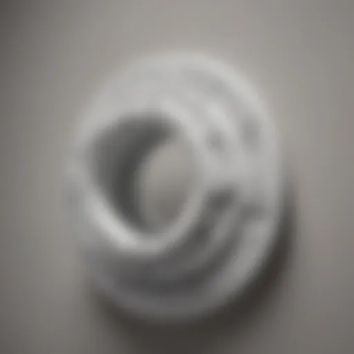 Detailed view of PVC closet flange