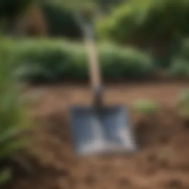 A Razor Back Round Point Shovel resting against a backdrop of freshly tilled soil in a landscaped garden.