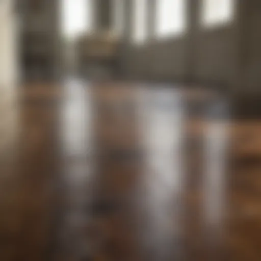 Revitalize worn hardwood floor with Rejuvenate Hardwood Floor Restorer