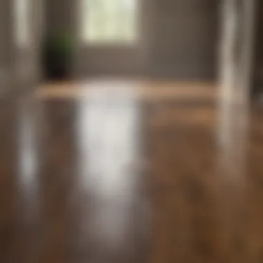 Hardwood Floor Application