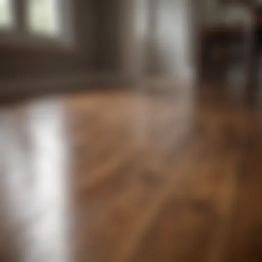Hardwood Floor Shines