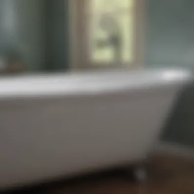 Professional finishing of bathtub with enamel paint