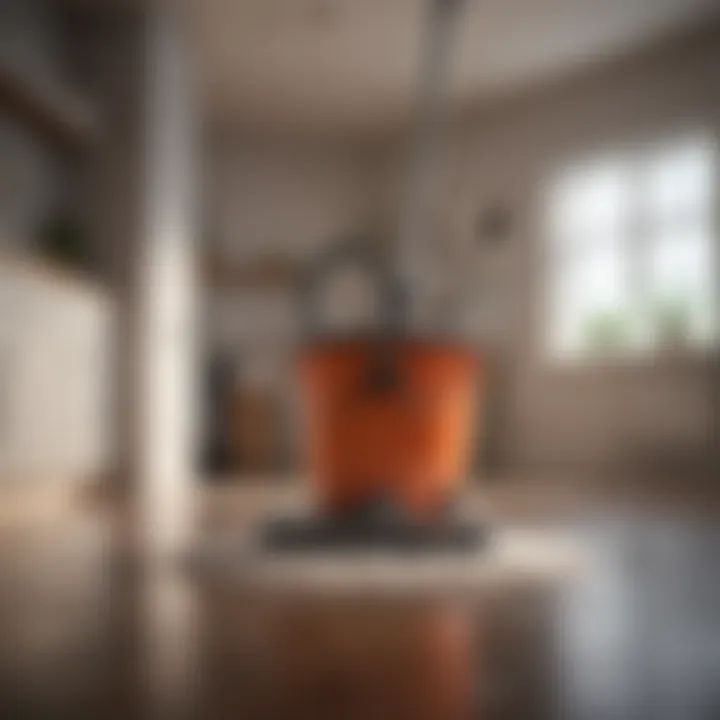 Revolutionize Your Cleaning Routine