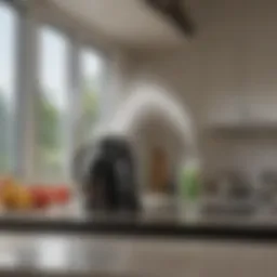 Innovative kitchen sprayer technology in action