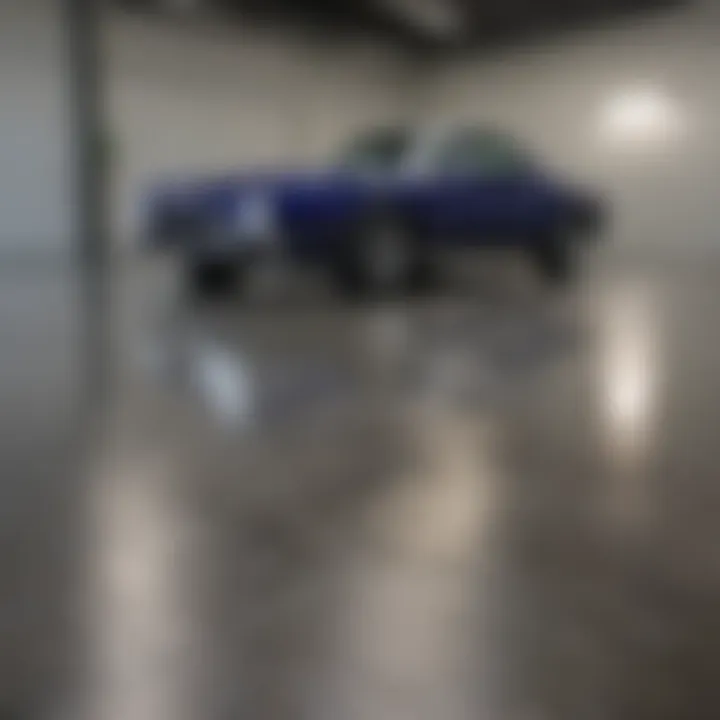 Elegant Metallic Garage Floor Paint Application