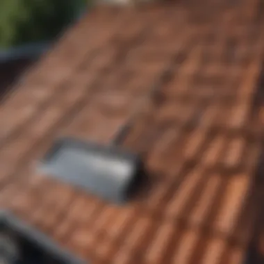 Enhanced Roof Maintenance with Extension Pole Roof rake extension pole benefits