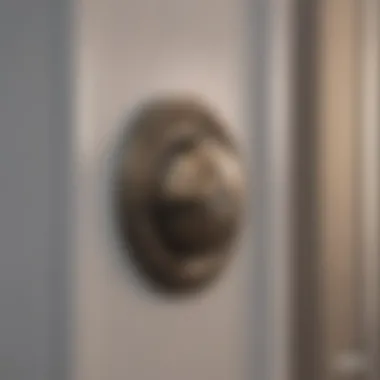 Secure Round Strike Plate for Residential Door